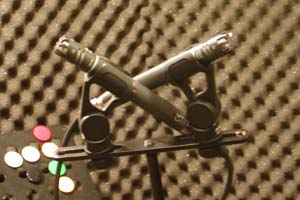 Mikrofone AKG C391B